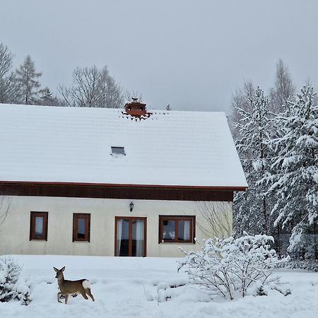 Dom Na Pstraznicy Villa Kudowa-Zdrój Eksteriør bilde