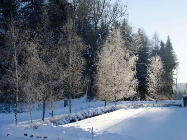Dom Na Pstraznicy Villa Kudowa-Zdrój Eksteriør bilde