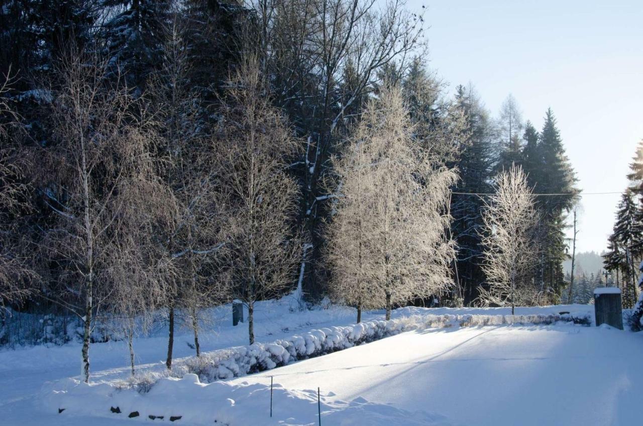 Dom Na Pstraznicy Villa Kudowa-Zdrój Eksteriør bilde