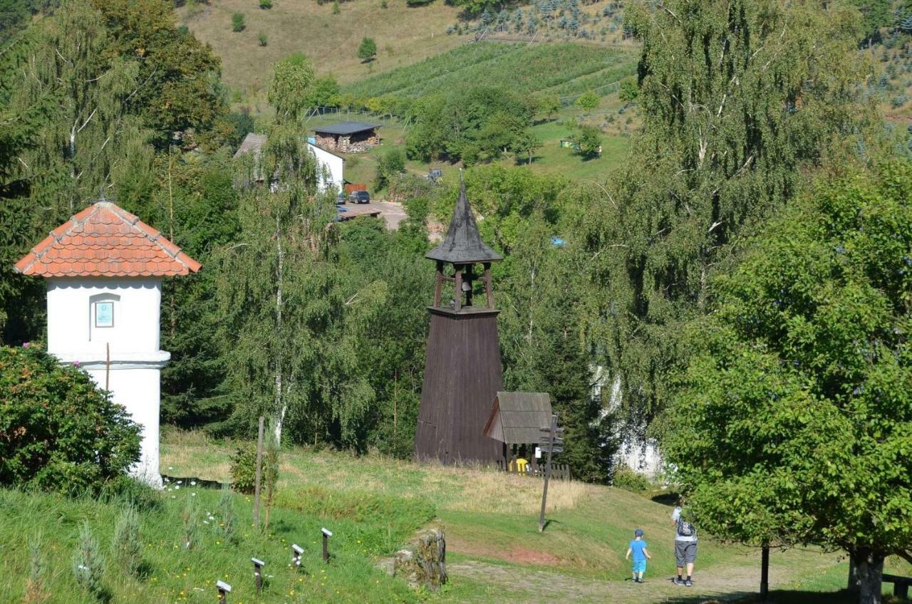 Dom Na Pstraznicy Villa Kudowa-Zdrój Eksteriør bilde