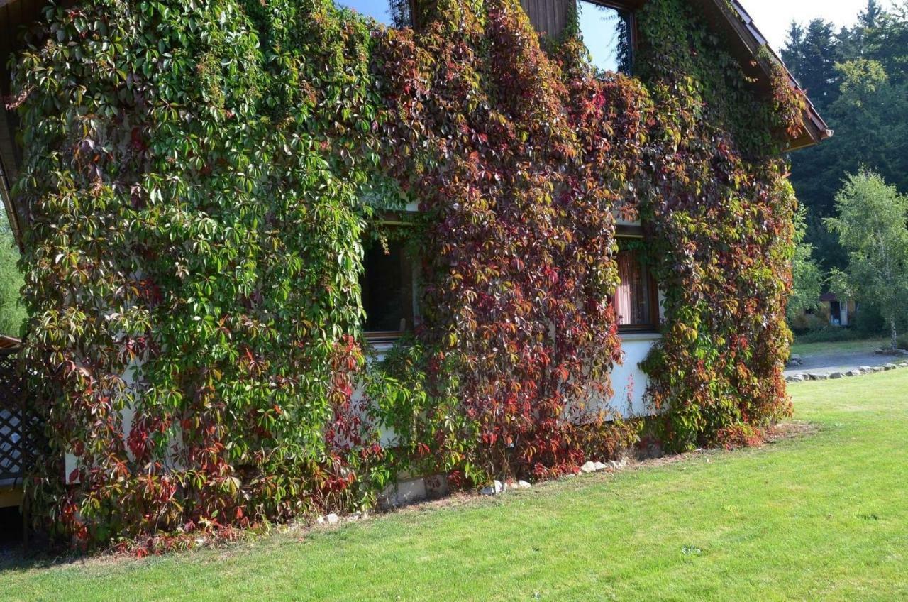 Dom Na Pstraznicy Villa Kudowa-Zdrój Eksteriør bilde