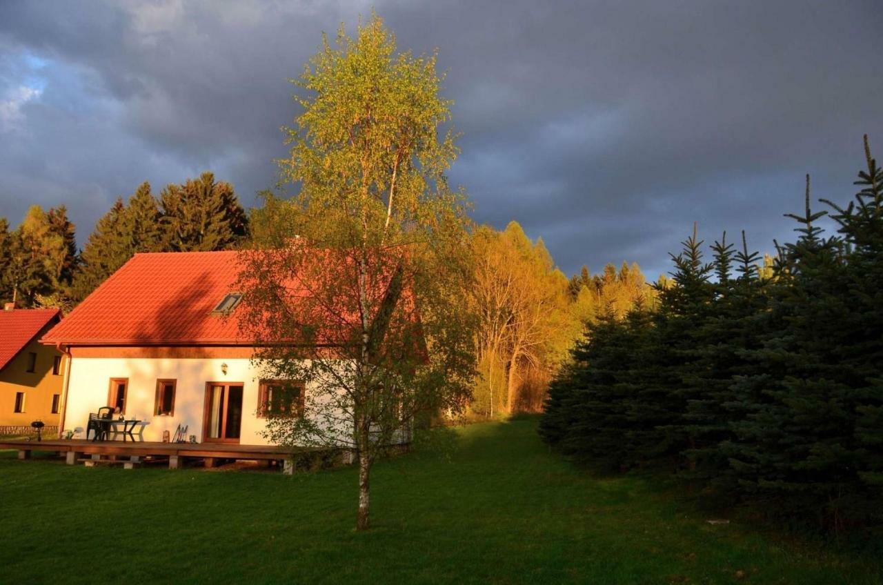 Dom Na Pstraznicy Villa Kudowa-Zdrój Eksteriør bilde