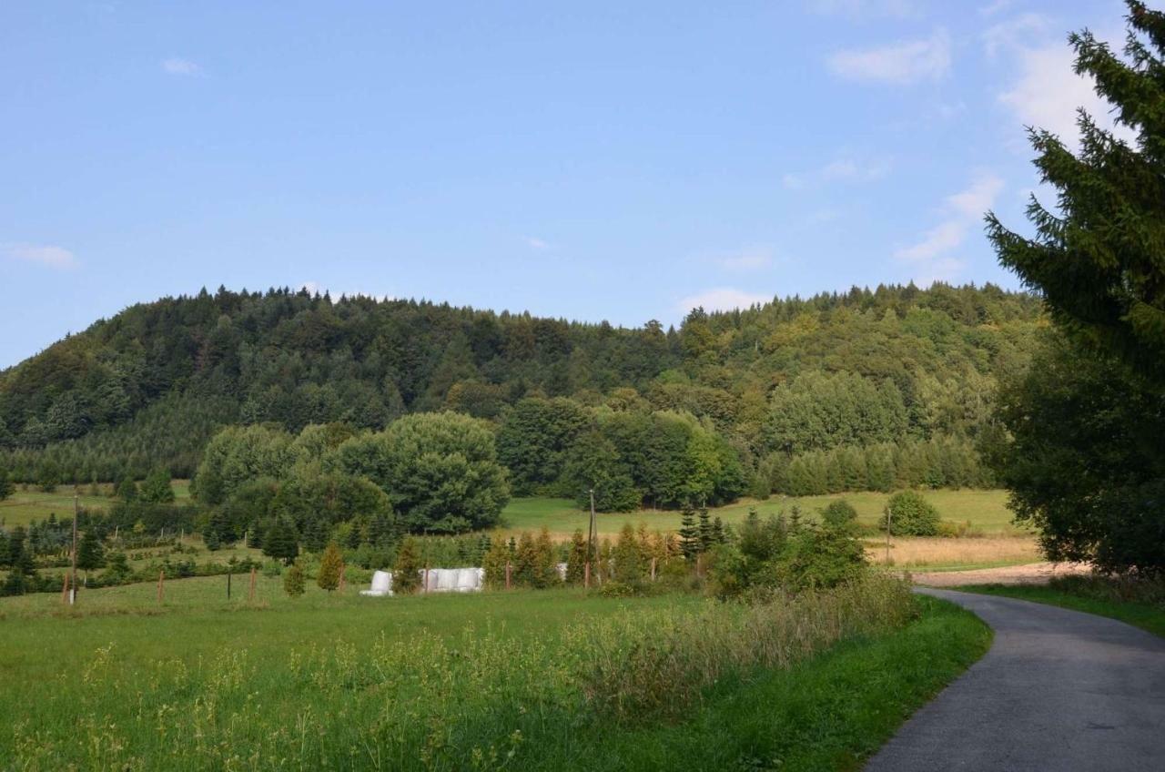 Dom Na Pstraznicy Villa Kudowa-Zdrój Eksteriør bilde
